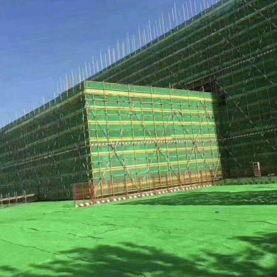 China HDPE Nylon (Fire Retardant Plastic Green Scaffold Debris Building Construction Construction Nets Protective Scaffolding Safety Net for sale