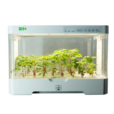 China Intelligent Cultivation Indoor Closed Soilless Box Lighting Vegetable Growing Machine for sale