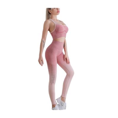 China Brand Sport Breathable Professional Female Gym Fitness Sets Yoga Women Workout Clothing High Quality for sale