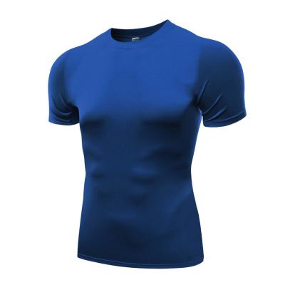 China Wholesale Breathable Sport Gym Activewear Mens T-shirt Workout Sport Apparel for sale