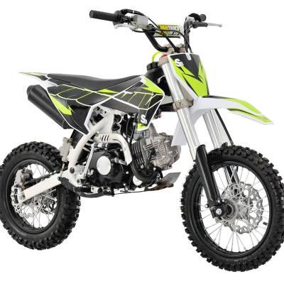 China 2023 Dirt Bike Mini Dirt Bike High End Manufacturing All Terrain Configurations DINOSS8 Motorcycle 4 Stroke Gasoline Engine Color Available for sale