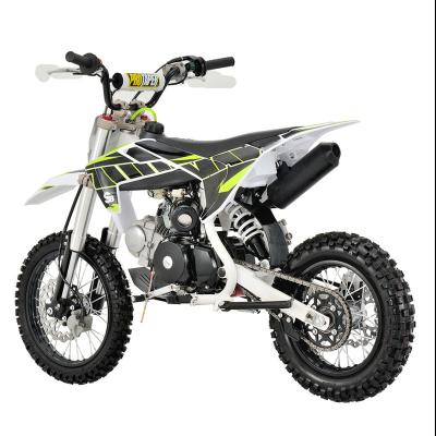 China Factory-direct sales 125cc gas dirt bike dirt bikes DINOSS8 for sale