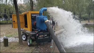 China Unidad de bomba de agua de 220 V de tensión diesel con arranque eléctrico en venta