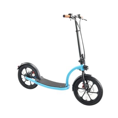 China Unisex Wholesale Sport Two Wheel Cycle Panel Electric Skate Scooter With Removable Battery for sale