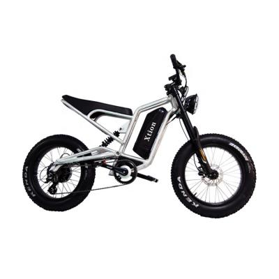 China Retro Conversion Aluminum Alloy 48V Lithium Battery Sports Kit Electric Bike Mountain Electric Bicycle for sale