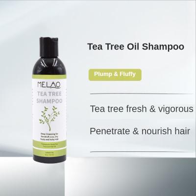 China Private Label Hair Regenerative Organic Eco - Friendly Deep Cleansing Shampoo For Oily Hair Regeneration for sale