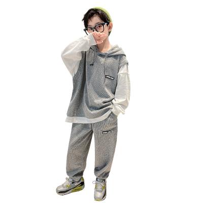 China Autumn Two Piece Set Juniors Casual Sweatshirt Boys Kids Sports Pants Tracksuits for sale