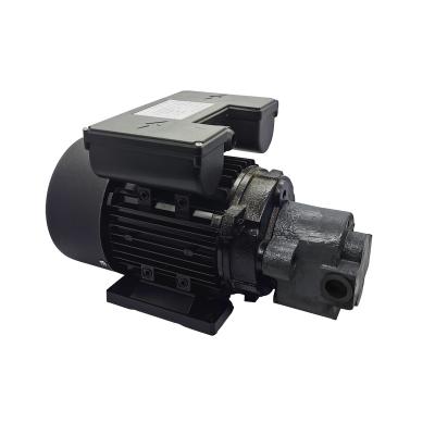 China Customizable Electric Construction Machine 0.55-7.5KW Oil Transfer Pump Motor for Power Tools, Construction Machinery, Speed ​​Reducer, etc. for sale