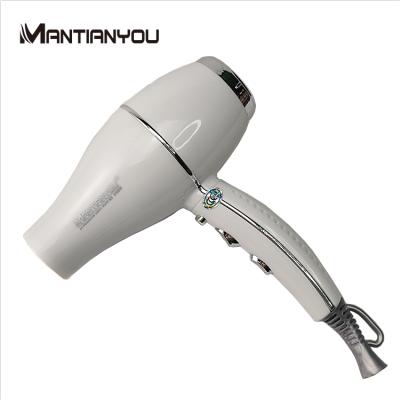 China Salon Professional Family AC Motor AC Motor Hair Dryer Electric Powerful Fast Drying Blower for sale