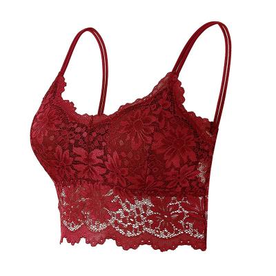 China QUICK DRY Low Price Quality Assured Nylon Breathable One Piece Sustainable Ladies Bra for sale