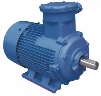 China Customized year-old explosion-proof three-phase electric motor for sale