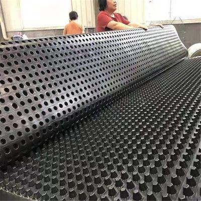 China Waterproof Drain Cell Drain Board HDPE Drain Board Drainage Cell for sale