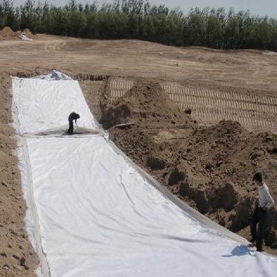 China Large Geomembrane Blue Geomembrane Fish Tank Contemporary Aquarium Fish Farm for sale