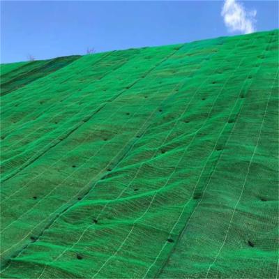 China Contemporary High Quality Enkamat TRM Erosion Control Mats Geomat Erosion Control Mat Slope Protection Net Covering Net for sale