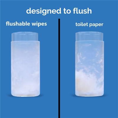 China Cleaning Flushable Wipes Spunlace Nonwoven Baby Care Cleaning Wipes for sale