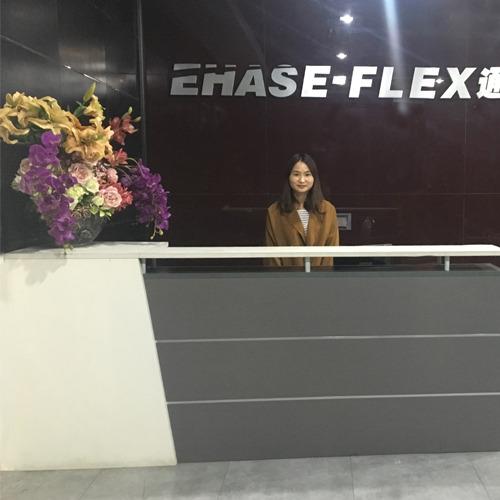 Verified China supplier - Hangzhou Ehase-Flex Co., Ltd.