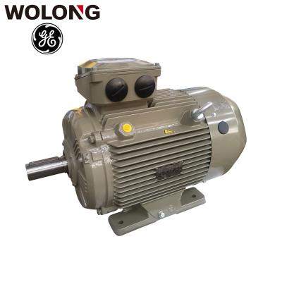 China IP55 Wolong GE WE3 IE3 High Efficiency 3 Phase Asynchronous Induction Electrical AC Motor for sale