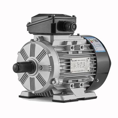 China IP55 Wolong WE3 Series High Efficiency 3 Phase Asynchronous Induction Electric AC Motor for sale