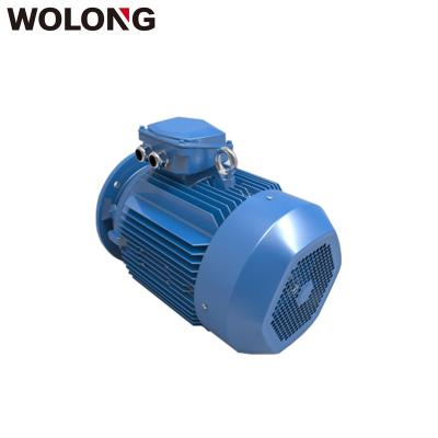 China WOLONG Drip-proof WE3 2-10p Explosion Proof 3 Phase Induction Motor 0.18-375 Kw for sale