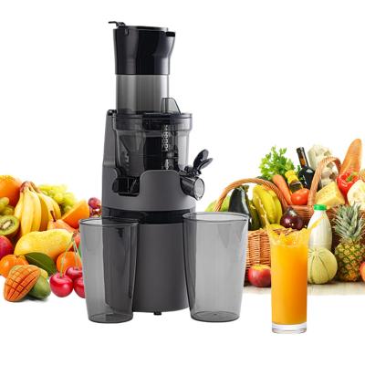 China Outdoor Chinese Orange Quick Power Juicer Manufacture SJ-009 Blenders and Electric Centrifugal Juicer Juicer Fruit Juicer for sale