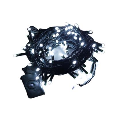 China Outdoor 110V IP65 Waterproof Christmas Easter PVC Led String Lights For Decoration for sale