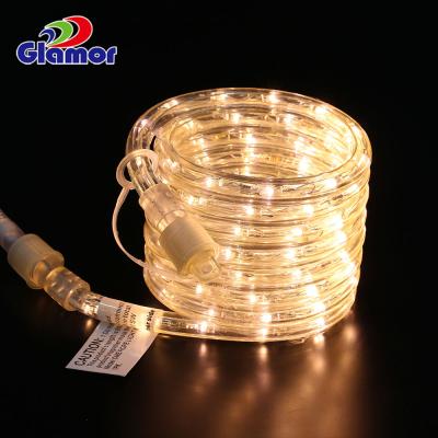 China LANDSCAPE decorative outdoor150FT IP65 for outdoor decoration use, pipe, PVC LED dural light soft rope light for sale