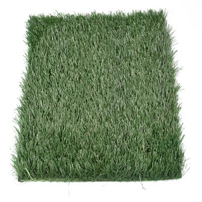 China Professional Garden OEM / ODM Artificial Grass Lawn For Soccer Field for sale