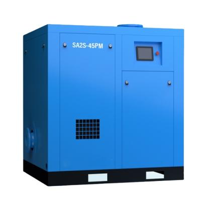 China SA2S-45PM China Food and Beverage Industry Frequency Conversion Oilless Permanent Magnet High Pressure Dry Vacuum Pump for sale