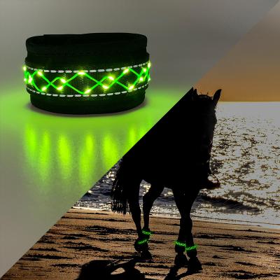 China Neoprene LED Horse Leg Band Glow Horse Leg Strap Quality Horse Light Accessories For Riding for sale