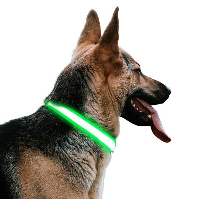 China Padded USB LED Rechargeable Dog Collar for Night Walking for sale