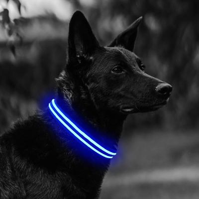 China LED Lights Dog Collar For Sale for sale