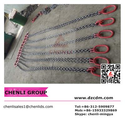 China Multi-leg lifting chain sling assembly for sale