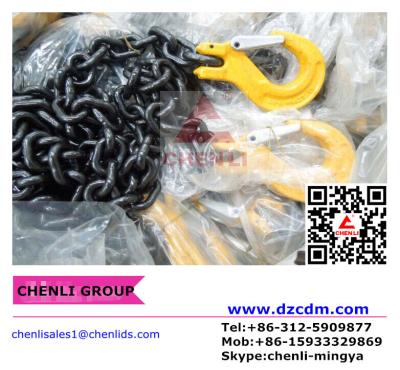 China Grade 80 chain with clevis slip hook w/latch both ends for sale