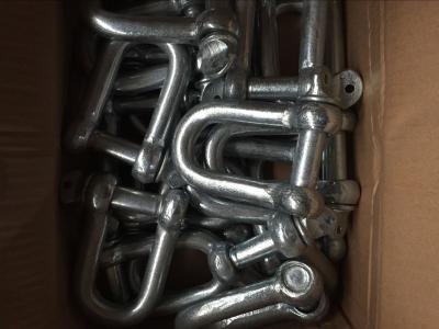 China European type large bow shackle for sale