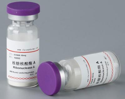 China 99% Reinheits-Laborverbrauchsmaterialien erforschen Reagens-Ribonuclease ein Enzym 10mg/Phiole zu verkaufen