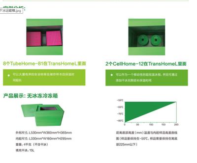 China Het Vervoercontainer van de biologiesteekproef in Kort Afstands Droog Ijs 16L Te koop