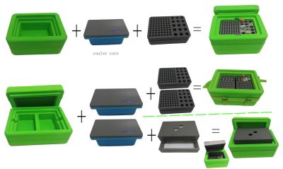 China Temperatura del refrigerador sin hielo de Benchtop la baja para experimento del virus de la DNA/del ARN se adapta a los módulos múltiples en venta