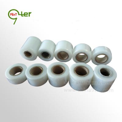 China Waterproof Custom Nursery Grafting Tape PE Stretch Tape For Branch Plant Fruit Wrapping Small Clear Stretch Film Roll Graft Tape for sale