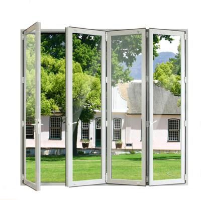 China Modern Foldable Gate And Bi-Fold Gate For Patio Area And Open Space Gate for sale