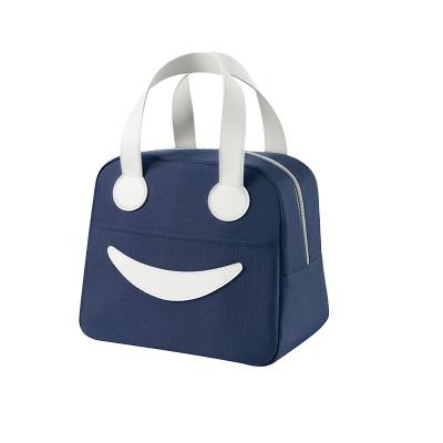 China Eco-friendly Picnic Bags Warm Storage Bags School Bags With Lunch Box For Kids And Adult For Camping Bringing In Food for sale