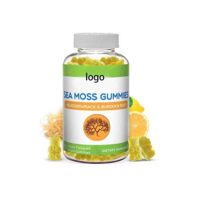 China Nutritional Sea Moss Gummies With Elderberry Bladderwrack Cosmetics OEM Supplements, and Burdock Root For Immune System for sale