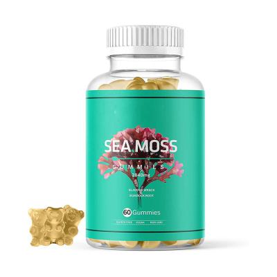 China Cosmetics Organic Sea Moss Gummies Natural Irish Sea Moss & Bladderwrack Burdock Gummy Vegan for Thyroid, Healthy for sale