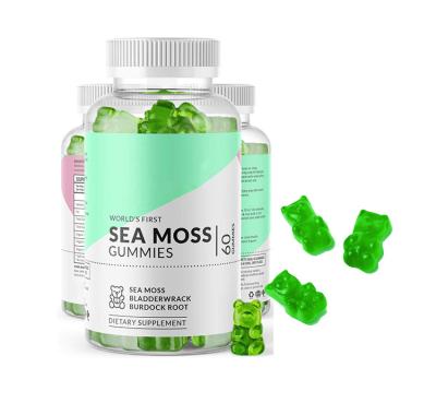 China Moss Gummy And Bladderwrack With Natural Irish Sea Burdock Private Label Beauty Products Gummy For Weight Loss for sale