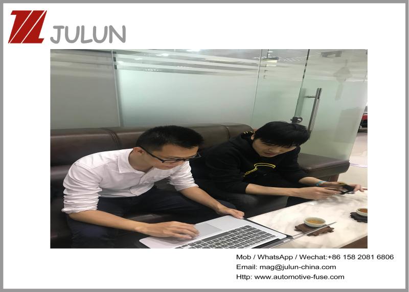 確認済みの中国サプライヤー - JULUN (H.K)CO.,LTD (DONGGUAN JULUN ELECTRONICS CO.,LTD)