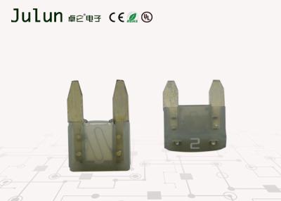 China 58 VDC 2 Ampère Kleine Automotive Blade Fuses Ag plateerden de Terminals van de Zinklegering Te koop