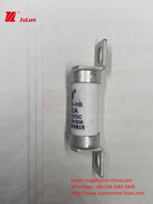 China 63A RS308 HB Fuse Bolted Mounting 80A 10A 15A 40A  Automotive Ceramic Fuses With Bolt Mounting for sale