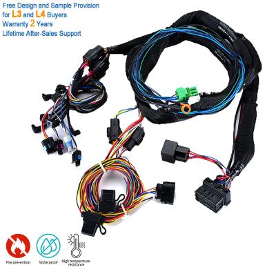 China Wiring Harness Kits For Trucks And Automotive Engine Lpg Wiring Harnesses for sale