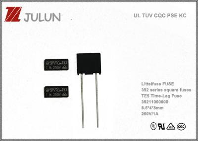 Chine Fusible subminiature 2.5A 250V d'avance radiale lente de coup de place de NTS à vendre