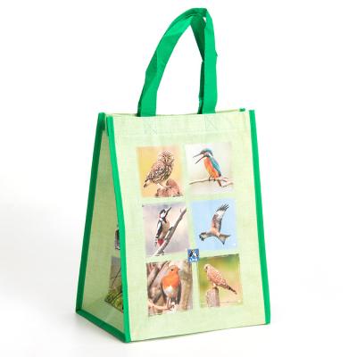 China Wholesale Promotional Biodegradable Images Handled Cheap Prices Printed Non Woven Tote Bag for sale