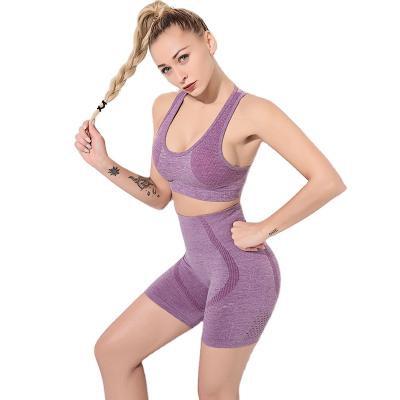 China Breathable Seamless Fitness Suit Yoga Sports Bra Fishing Running Hip 2 Pieces Sets Clothing Yoga Women for sale